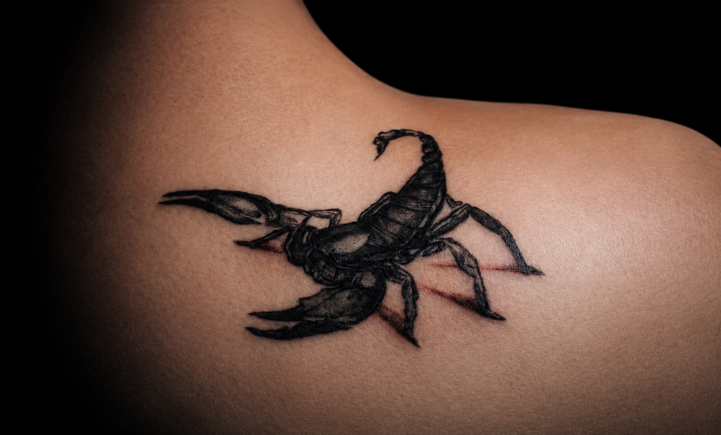 Tatouage scorpion fine line, la cerise tattoo à gland - artiste tatoueur 